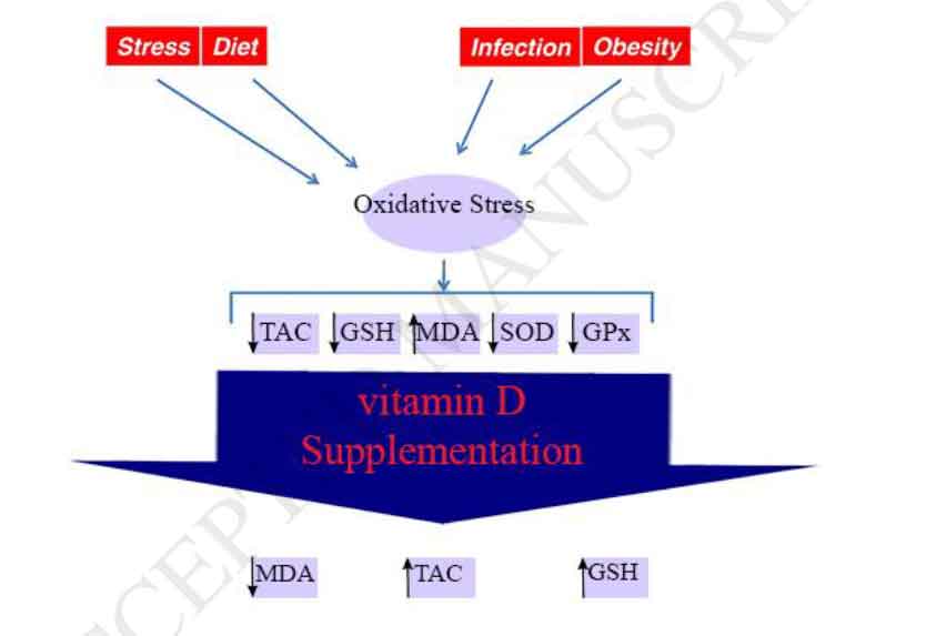 Vitamin-D-one-essential-vitamins-for-health